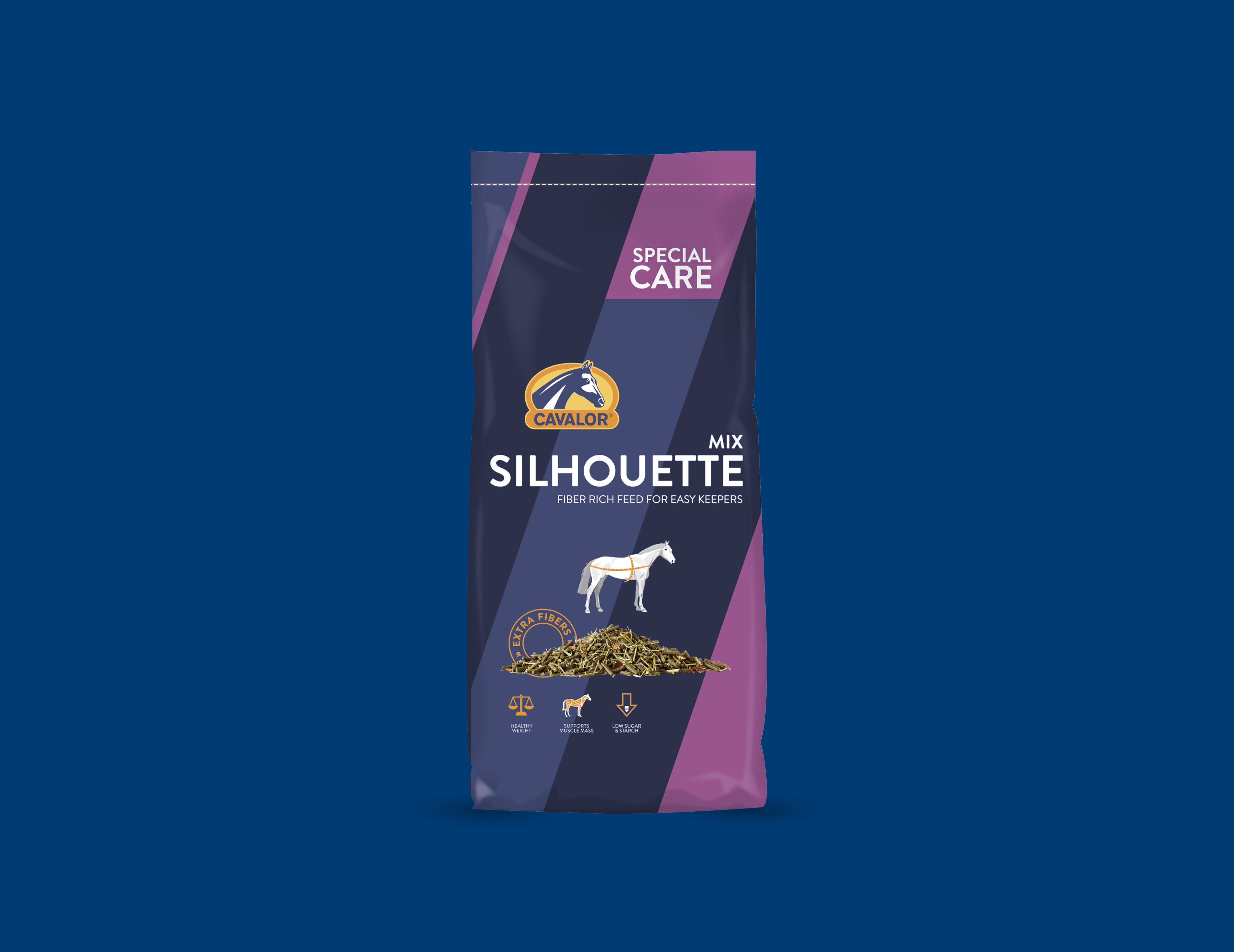 Silhouette_blue