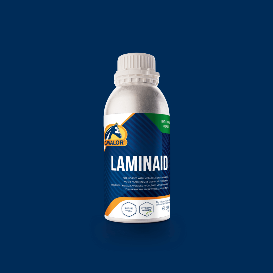 LaminAid