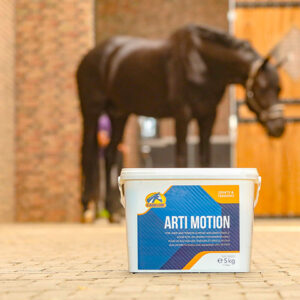 Arti Motion