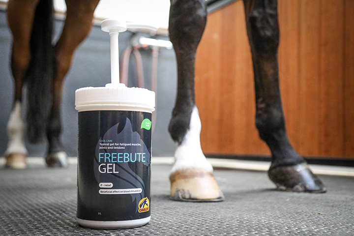 FreeBute Gel