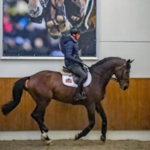 Pieter Clemens_web