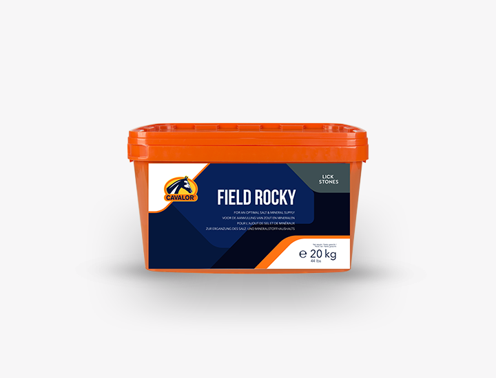 Field Rocky