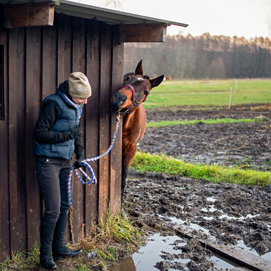 The best tips for (equine) winter complaints