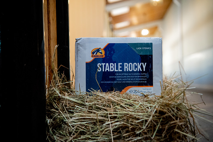Stable Rocky