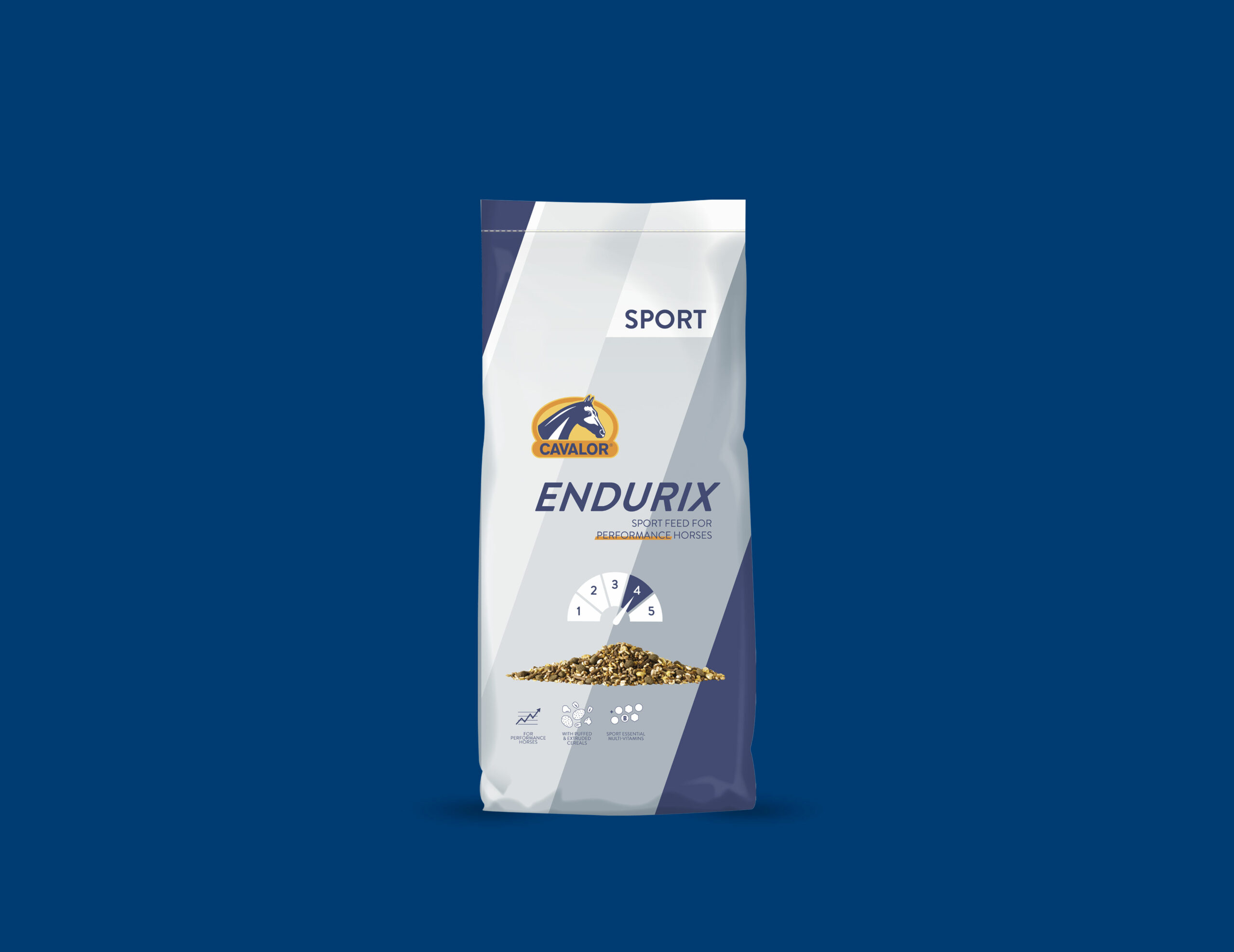 Endurix_blue