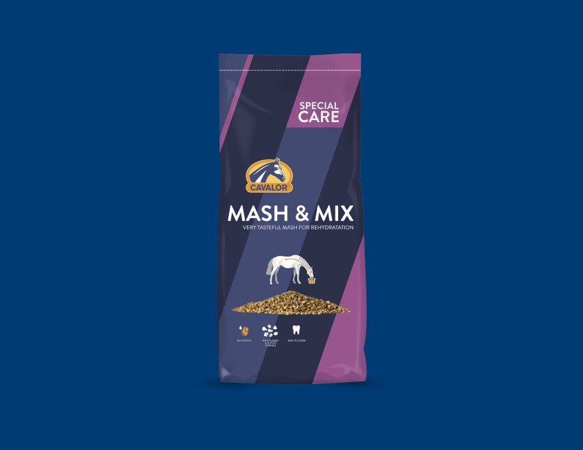 Mash&Mix_blue