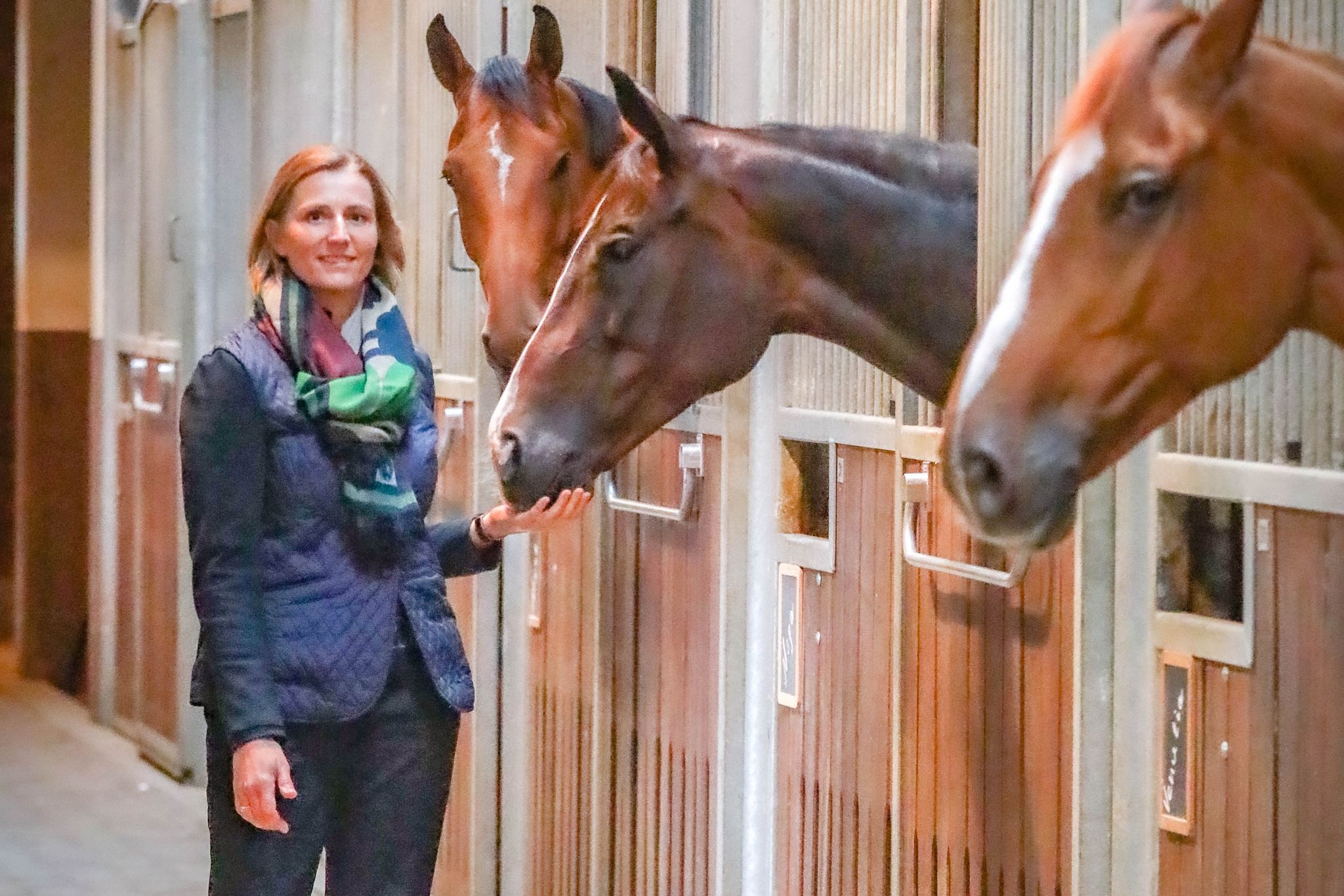 CEO Lieselot Hamerlinck_Pegasus