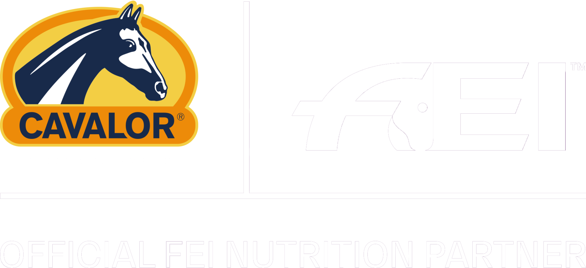 fei partner