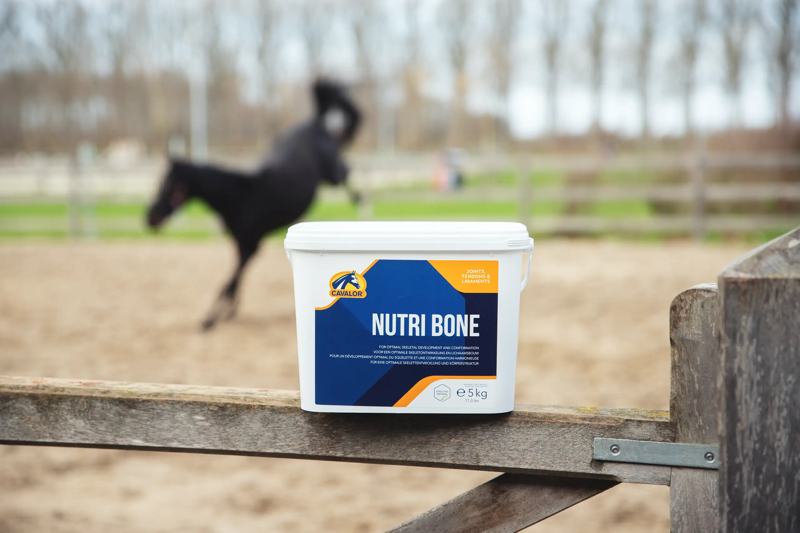 Nutri Bone