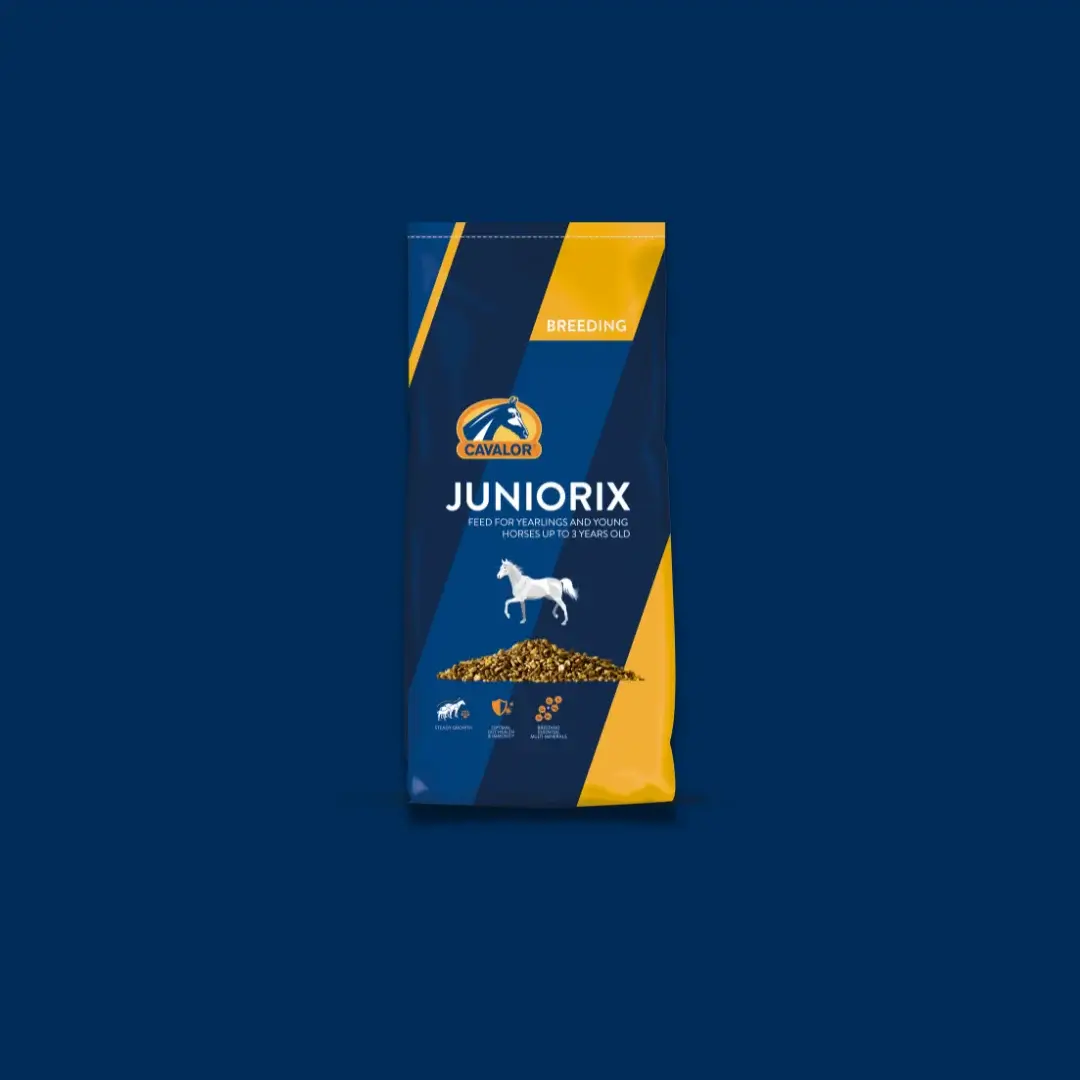 Juniorix