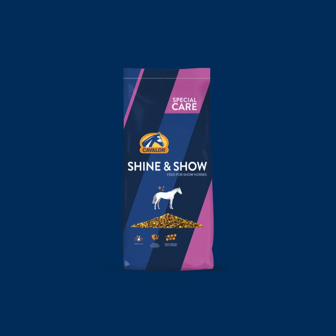 Shine & Show