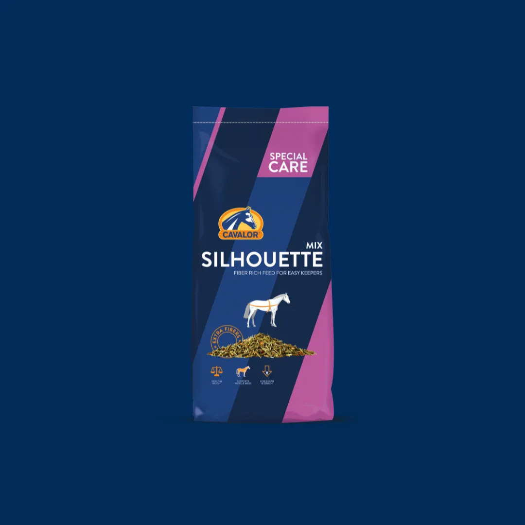 Silhouette