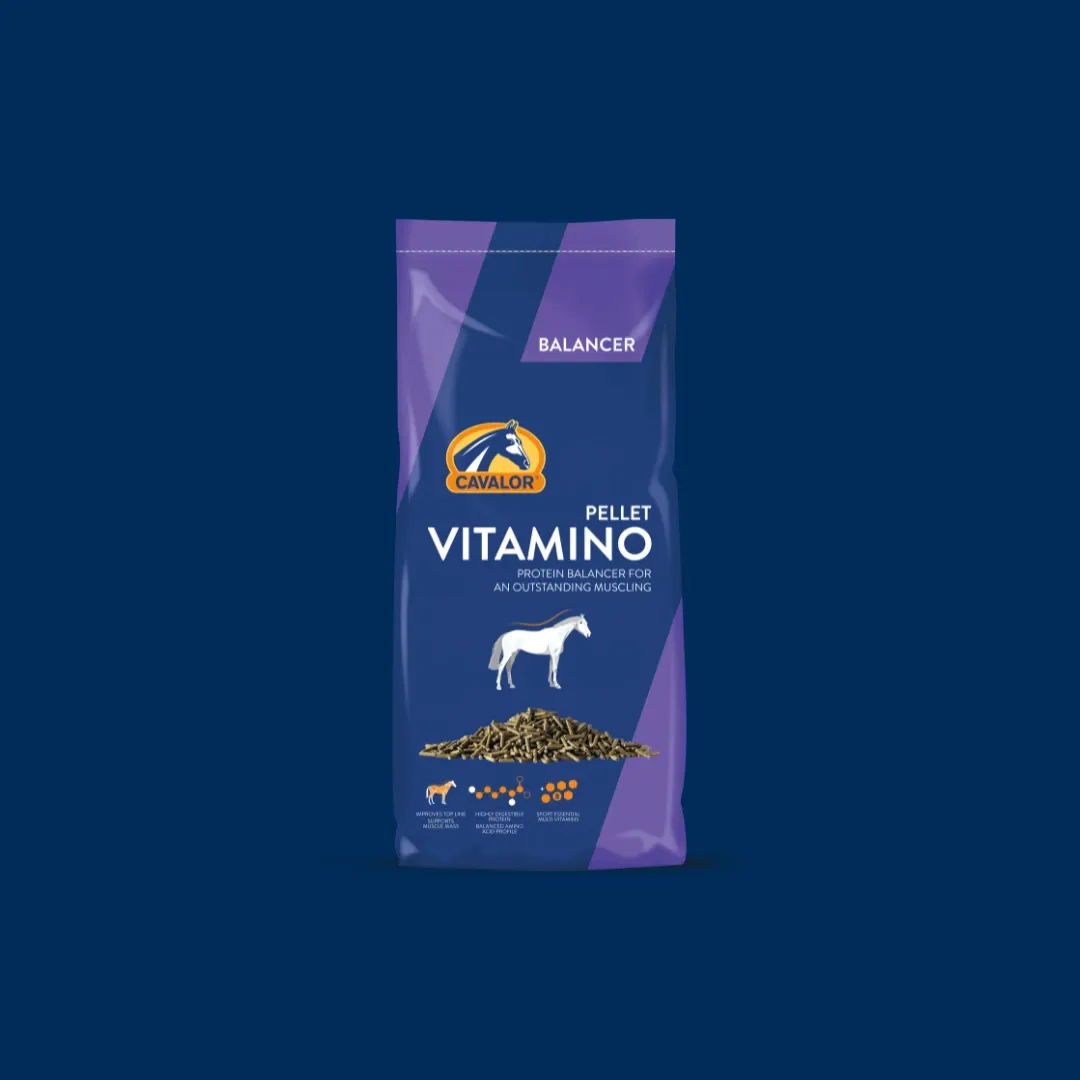 VitAmino