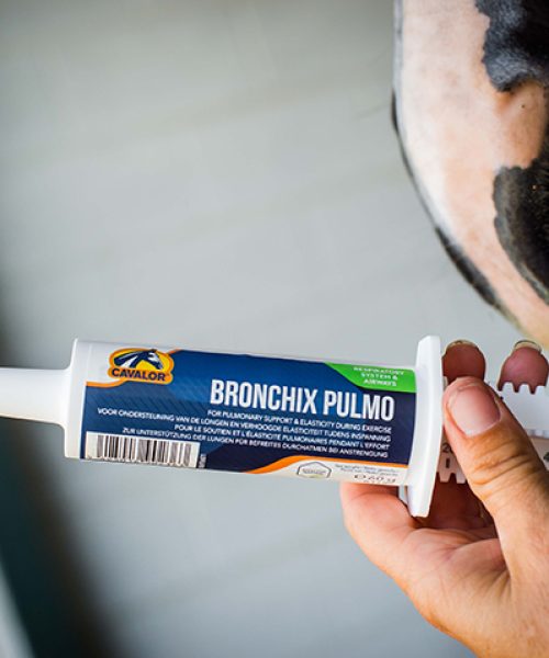 Bronchix Pulmo_US