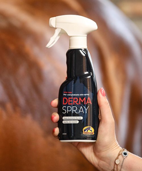 Derma Spray - ontsmettende spray