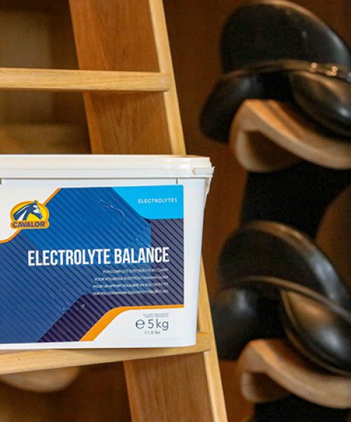 Electrolyte Balance 5kg_EU