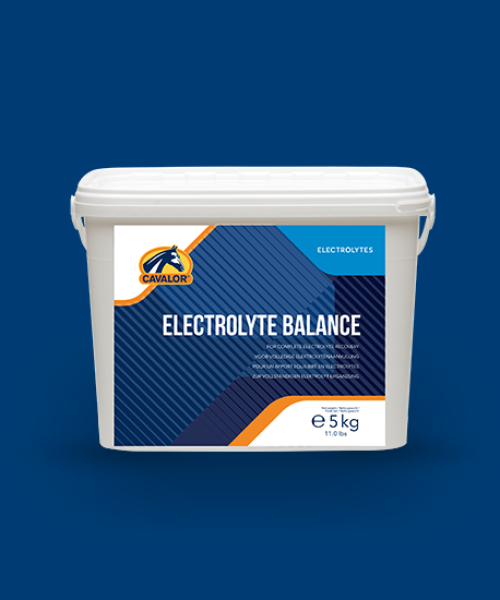 Electrolyte5KG-Packshot-2