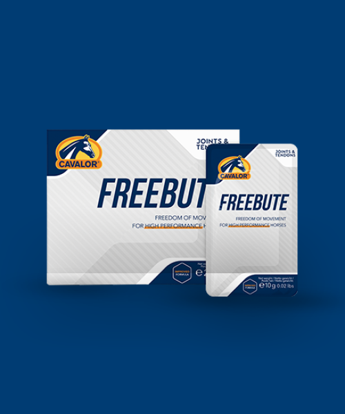 FreebuteN-Packshot-2