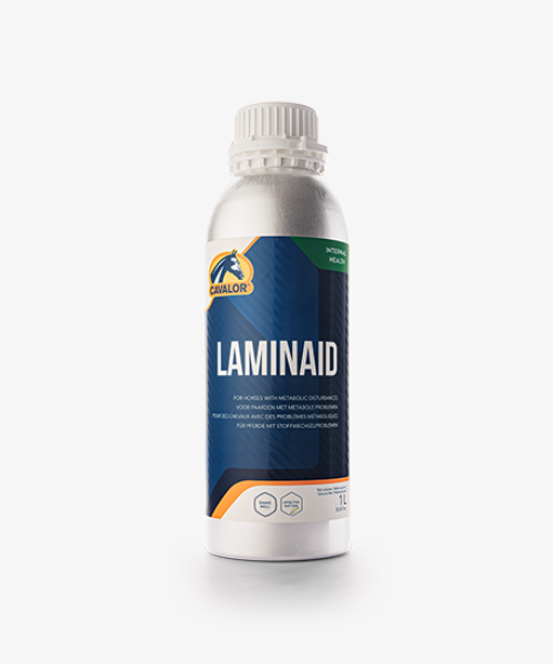 Laminaid-Packshot-1