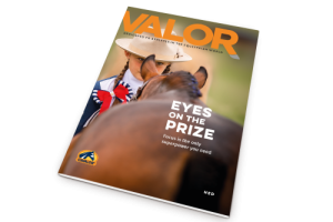 Mockup_Valor_Cover-NL