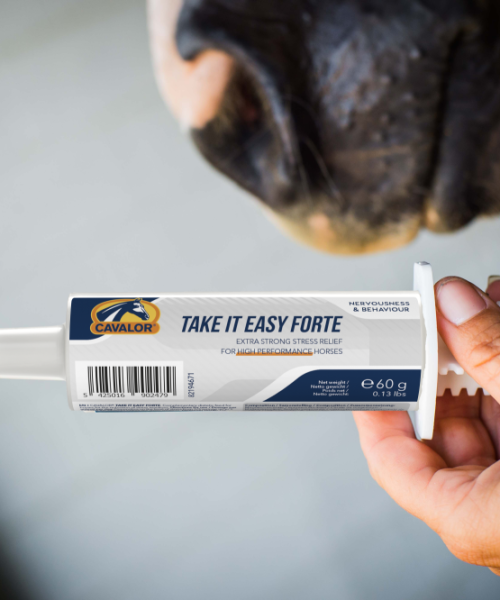Take-it-Easy-Forte