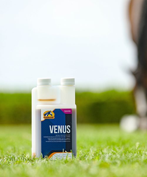 Venus 500ml_EU