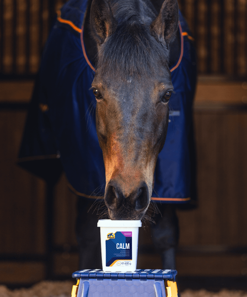 Calm – New formula (1)