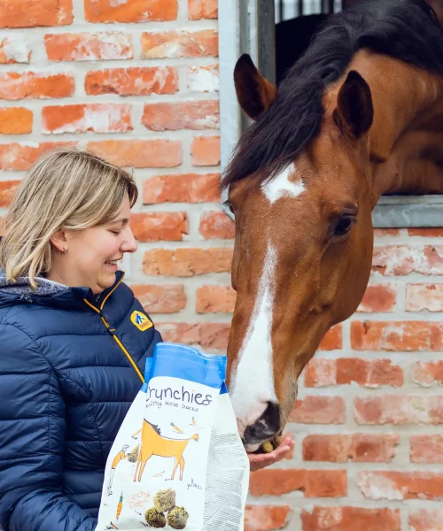 ND_categories_snacks