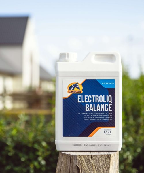 electroliq (1) (1)