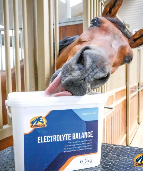Electrolytes (1) (1)