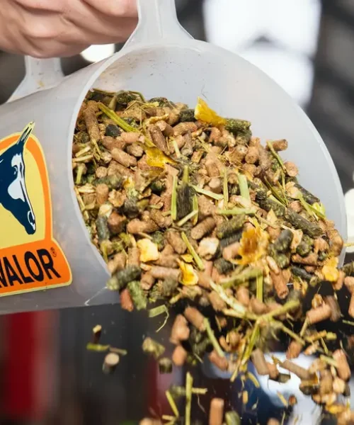 fiberbase-mix_2560x1975px