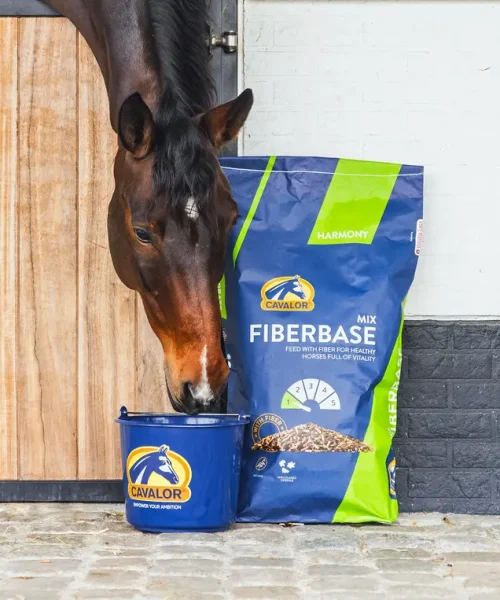 fiberbase-mix_2560x1975px_1e