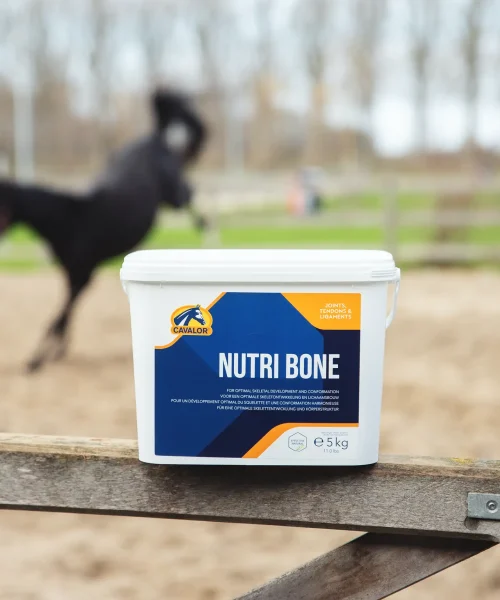 nutri-bone_5KG-sfeer