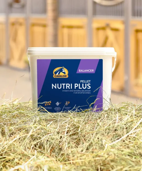 Nutri Plus_2024