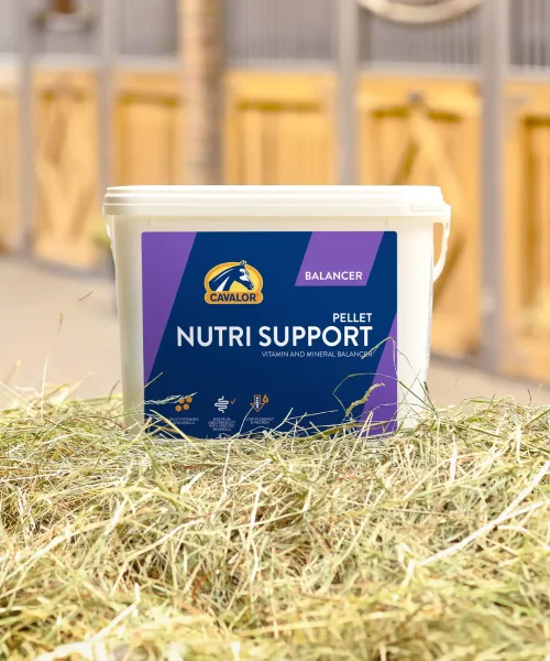 Nutri Support_2024