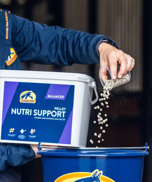 Nutri Support_2024_2