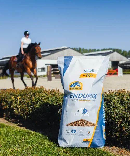 product-gallery-endurix-3