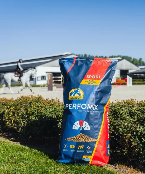 product-gallery-perfomix-3