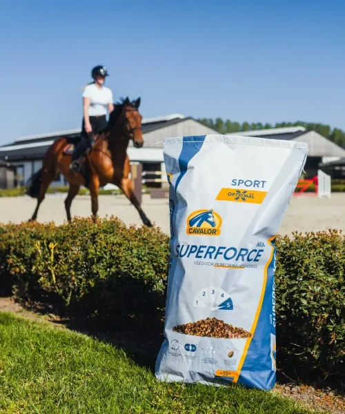 product-gallery-superforce-3