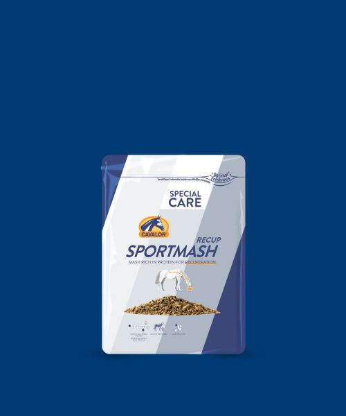 sportmash-blue