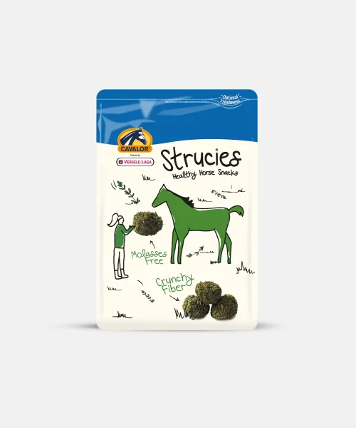 strucies_2560x1975px_grijs