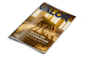 valor-build-on-foundation